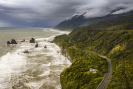 New Zealand 2025 (1 group) (20/66)